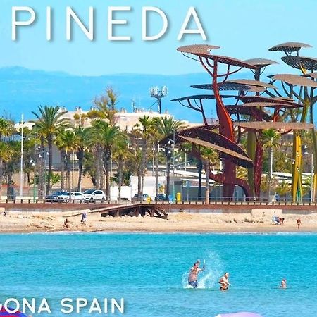 La Pineda Playa Apartamento Exterior foto